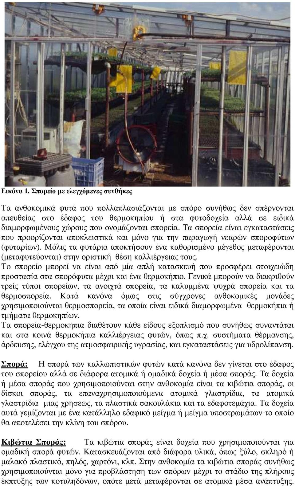 ονοµάζονται σπορεία. Τα σπορεία είναι εγκαταστάσεις που προορίζονται αποκλειστικά και µόνο για την παραγωγή νεαρών σποροφύτων (φυταρίων).