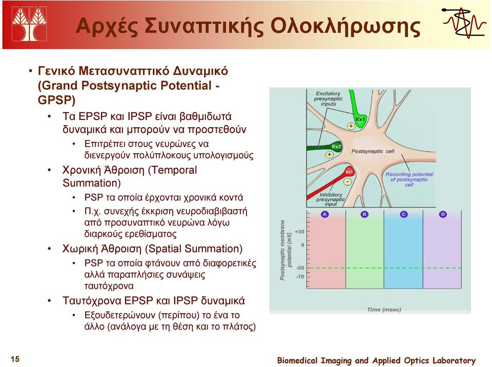 χ. συνεχής έκκριση νευροδιαβιβαστή από προσυναπτικό νευρώνα λόγω διαρκούς ερεθίσματος Χωρική Άθροιση (Spatial Summation) PSP τα οποία φτάνουν από