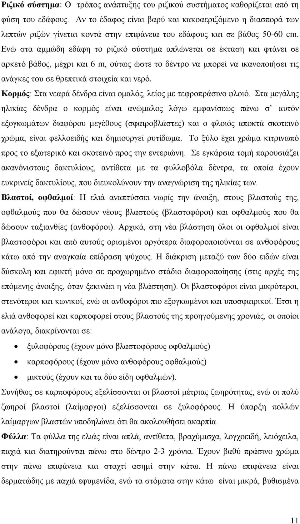 Ενώ στα αμμώδη εδάφη το ριζικό σύστημα απλώνεται σε έκταση και φτάνει σε αρκετό βάθος, μέχρι και 6 m, ούτως ώστε το δέντρο να μπορεί να ικανοποιήσει τις ανάγκες του σε θρεπτικά στοιχεία και νερό.