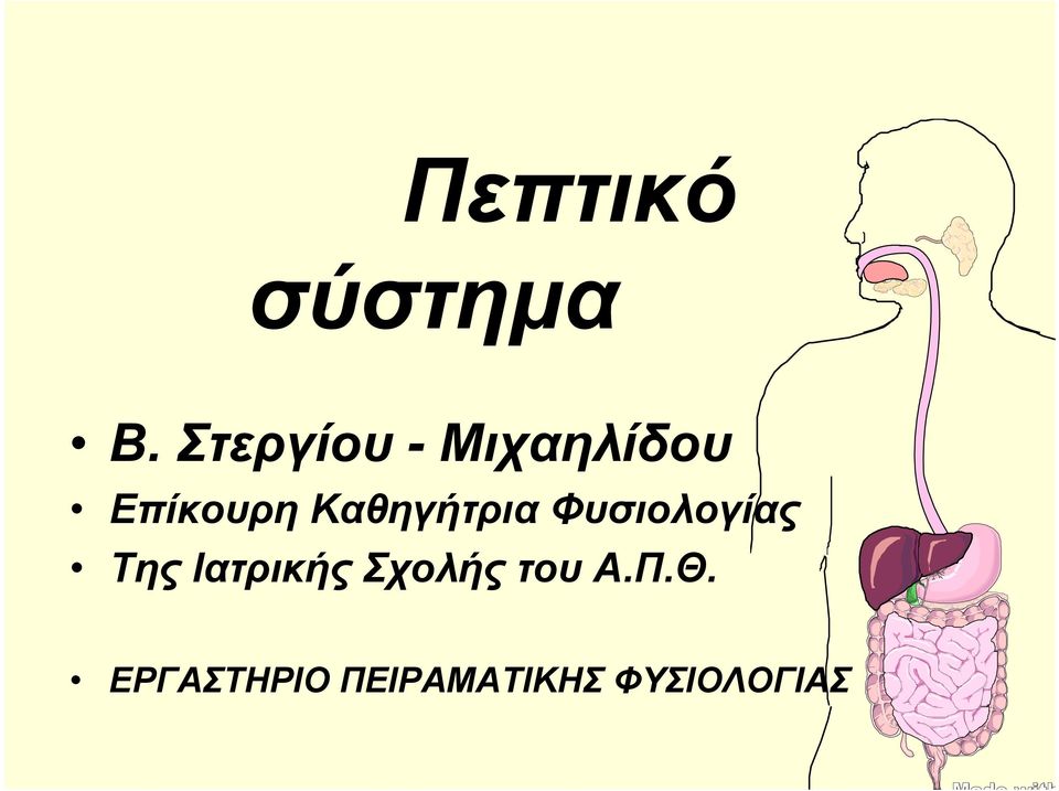 Καθηγήτρια Φυσιολογίας Της