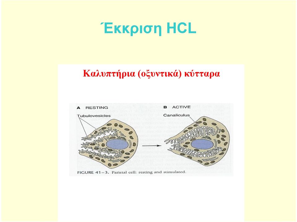 Καλυπτήρια