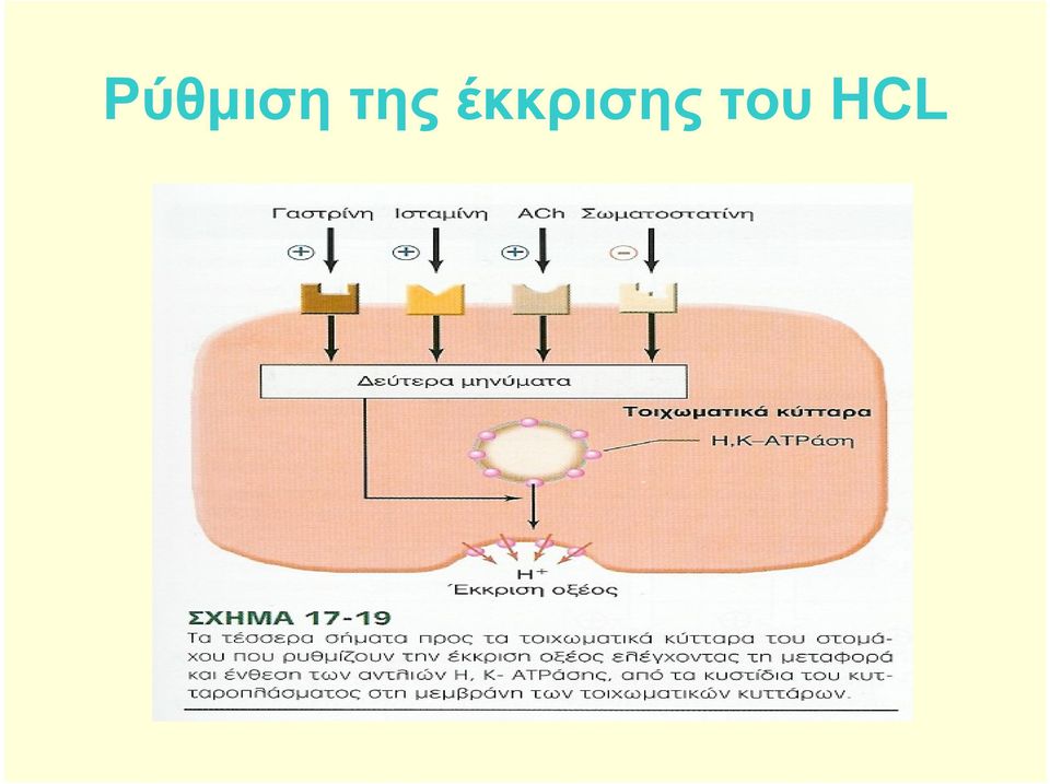 έκκρισης