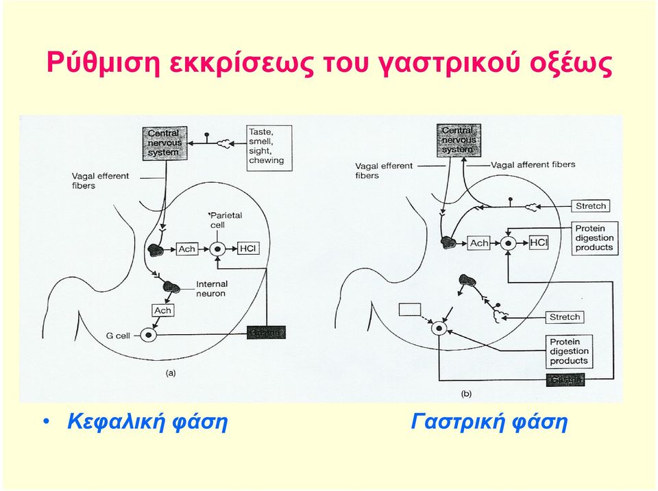 γαστρικού οξέως