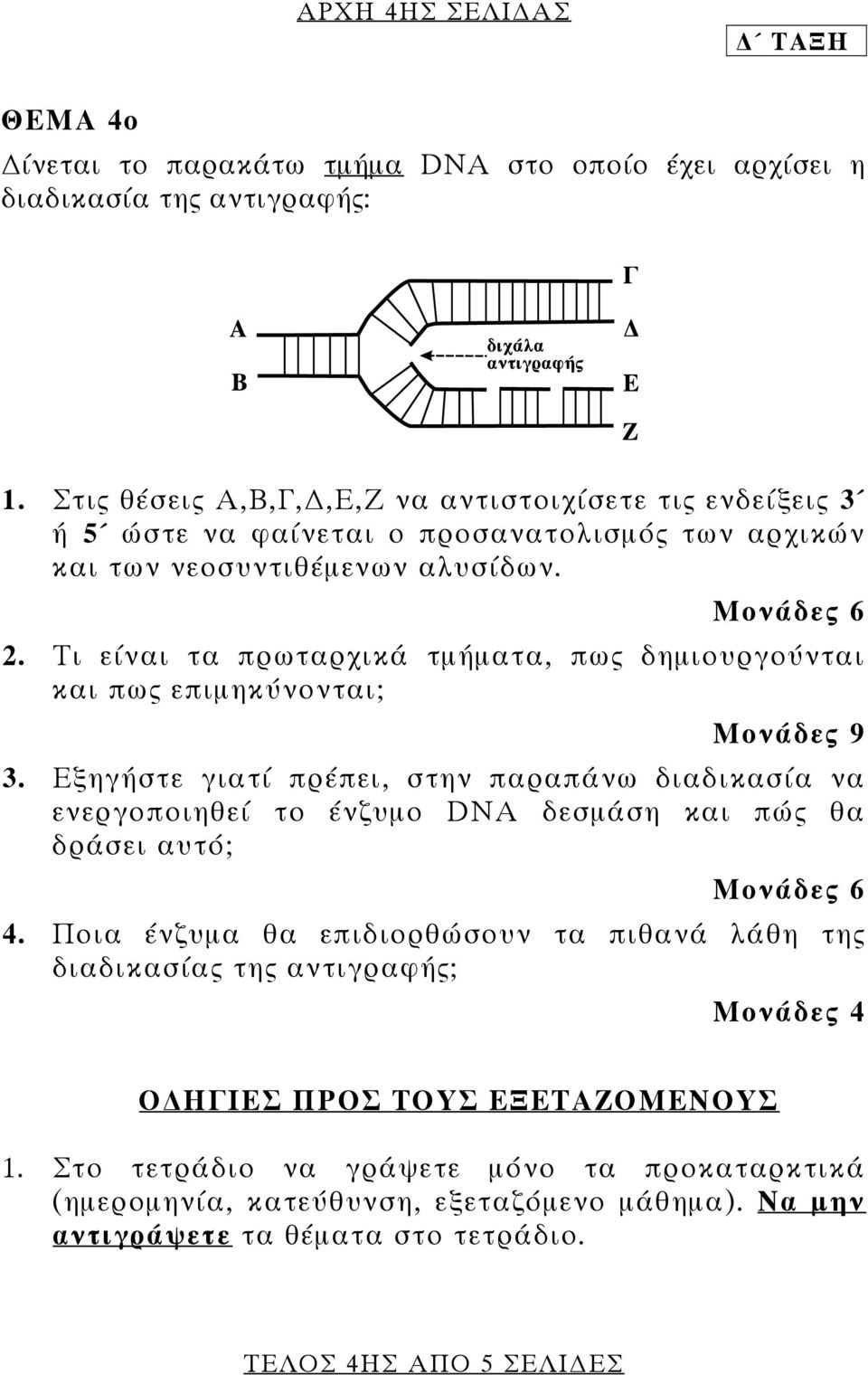 Τι είναι τα πρωταρχικά τμήματα, πως δημιουργούνται και πως επιμηκύνονται; Μονάδες 9 3.