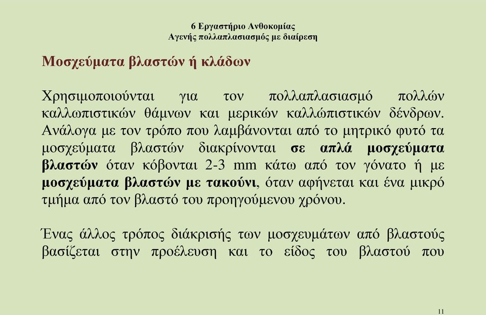 Ανάλογα με τον τρόπο που λαμβάνονται από το μητρικό φυτό τα μοσχεύματα βλαστών διακρίνονται σε απλά μοσχεύματα βλαστών όταν