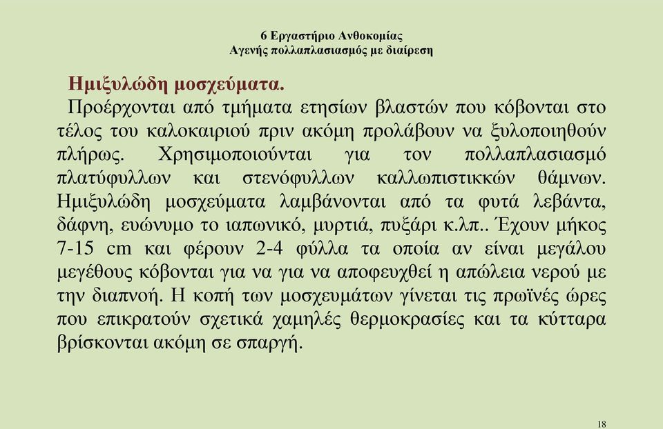 Ημιξυλώδη μοσχεύματα λαμβάνονται από τα φυτά λεβάντα, δάφνη, ευώνυμο το ιαπωνικό, μυρτιά, πυξάρι κ.λπ.