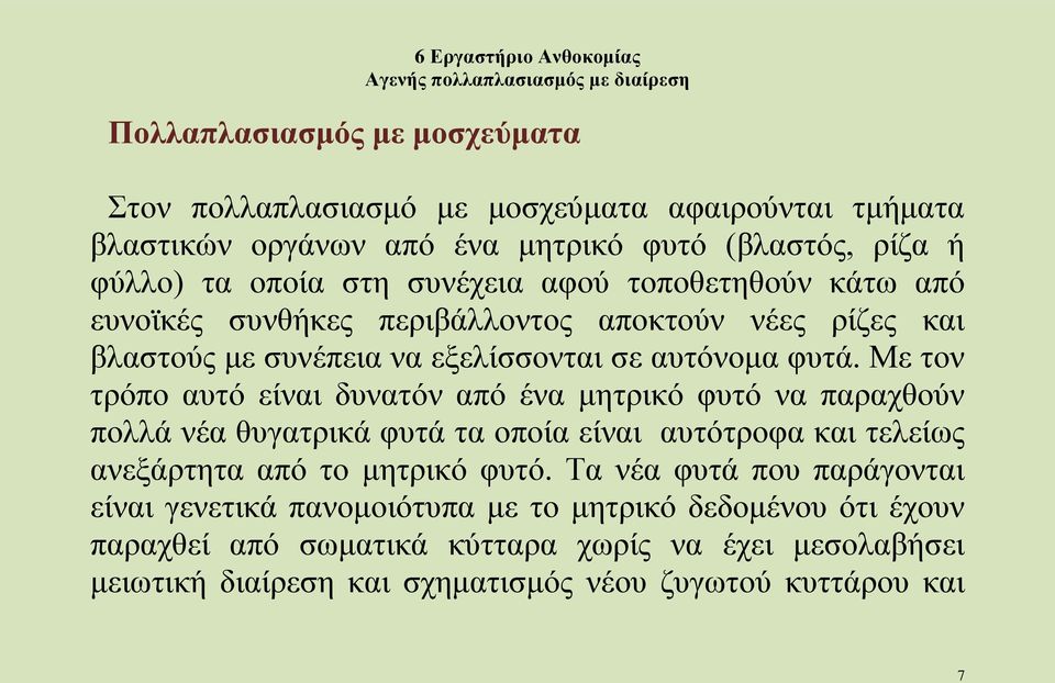 Με τον τρόπο αυτό είναι δυνατόν από ένα μητρικό φυτό να παραχθούν πολλά νέα θυγατρικά φυτά τα οποία είναι αυτότροφα και τελείως ανεξάρτητα από το μητρικό φυτό.