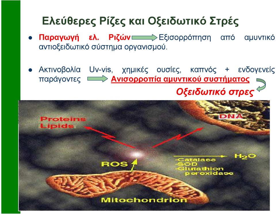 οργανισµού.