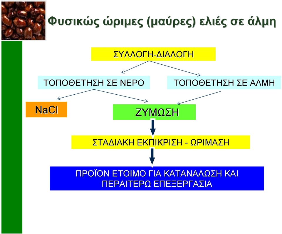 NaCl ΖΥΜΩΣΗ ΣΤΑ ΙΑΚΗ ΕΚΠΙΚΡΙΣΗ - ΩΡΙΜΑΣΗ ΠΡΟΪΟΝ