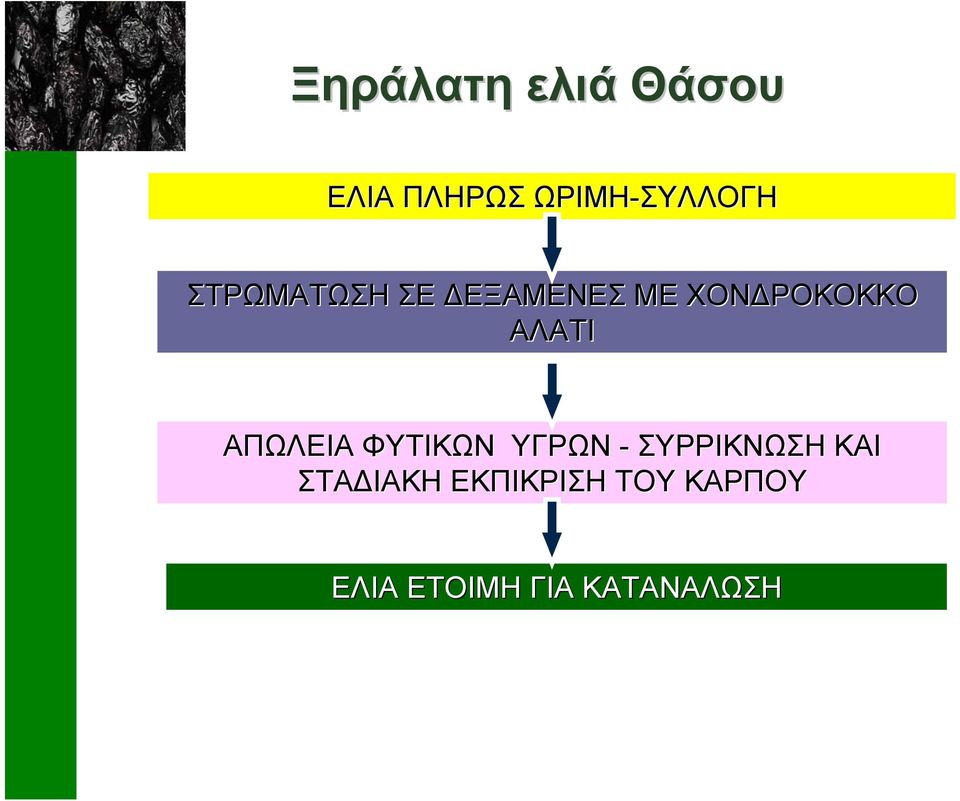 ΑΠΩΛΕΙΑ ΦΥΤΙΚΩΝ ΥΓΡΩΝ - ΣΥΡΡΙΚΝΩΣΗ ΚΑΙ ΣΤΑ