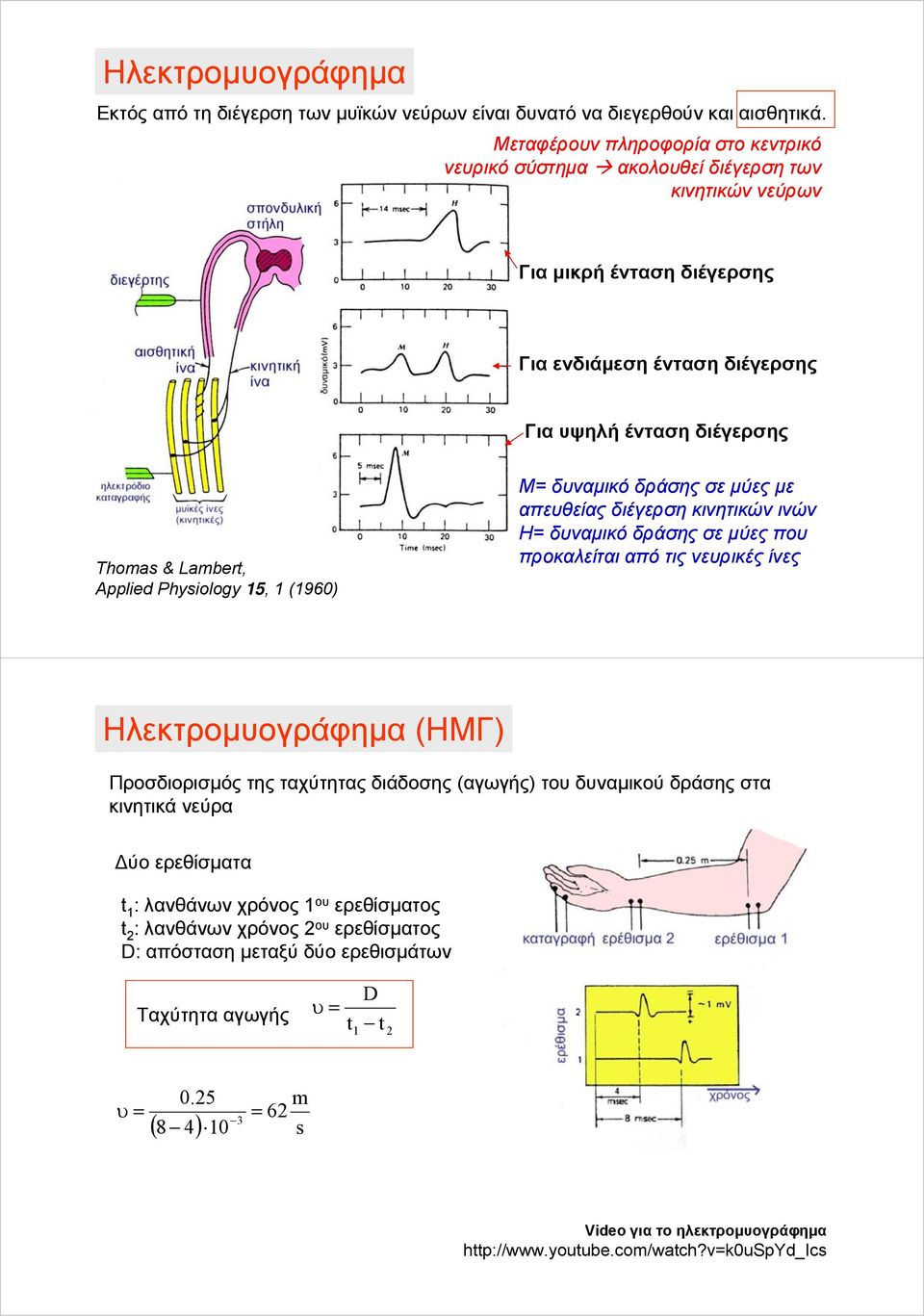 Applied Physiology 15, 1 (1960) Μ= δυναμικό δράσης σε μύες με απευθείας διέγερση κινητικών ινών Η= δυναμικό δράσης σε μύες που προκαλείται από τις νευρικές ίνες Ηλεκτρομυογράφημα (ΗΜΓ) Προσδιορισμός