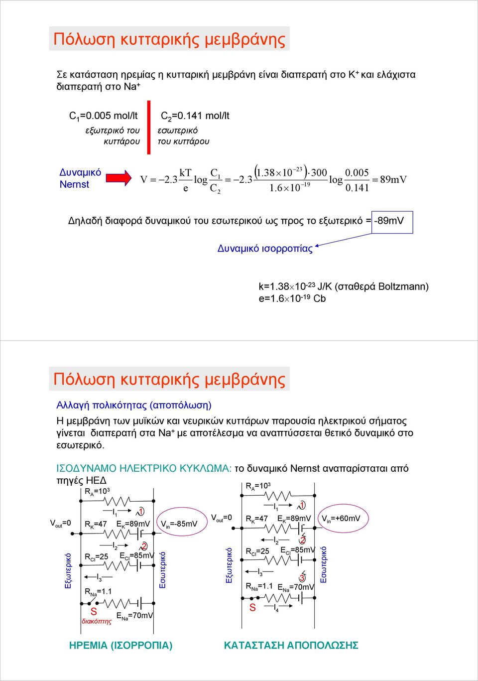 141 Δηλαδή διαφορά δυναμικού του εσωτερικού ως προς το εξωτερικό = -89mV Δυναμικό ισορροπίας k=1.38 10-23 J/K (σταθερά Boltzmann) e=1.