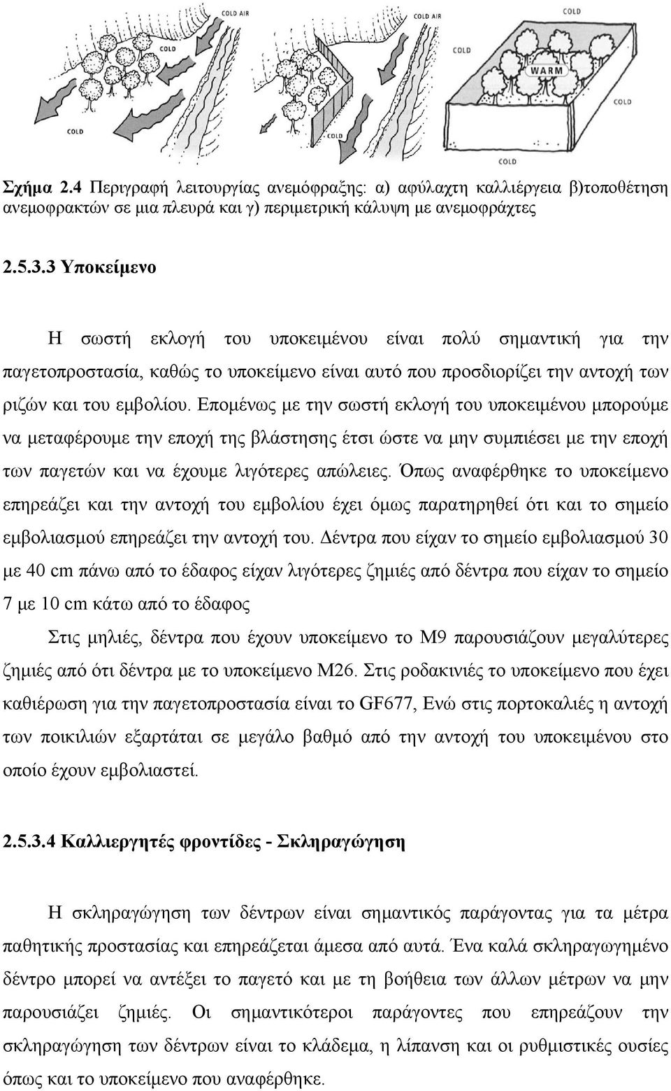 Επομένως με την σωστή εκλογή του υποκειμένου μπορούμε να μεταφέρουμε την εποχή της βλάστησης έτσι ώστε να μην συμπιέσει με την εποχή των παγετών και να έχουμε λιγότερες απώλειες.