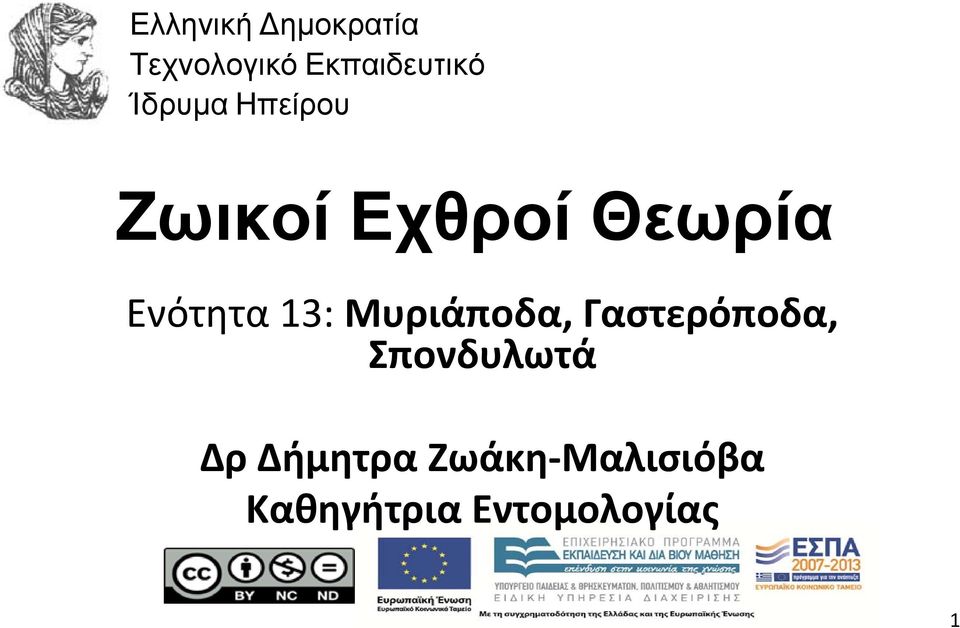 13: Μυριάποδα, Γαστερόποδα, Σπονδυλωτά Δρ