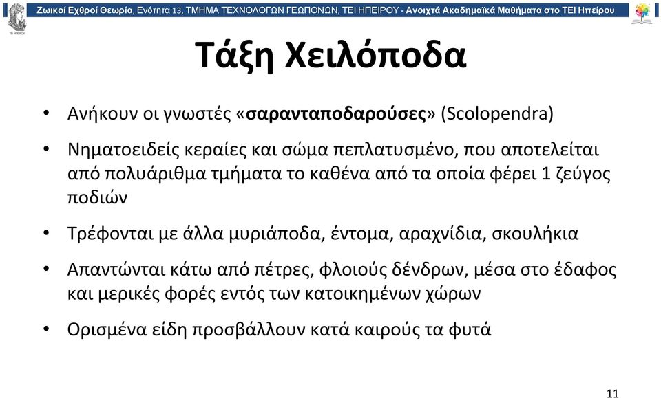 Τρέφονται με άλλα μυριάποδα, έντομα, αραχνίδια, σκουλήκια Απαντώνται κάτω από πέτρες, φλοιούς