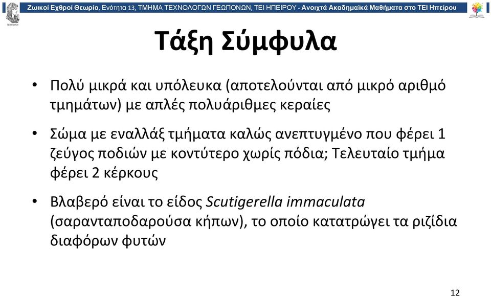 με κοντύτερο χωρίς πόδια; Τελευταίο τμήμα φέρει 2 κέρκους Βλαβερό είναι το είδος