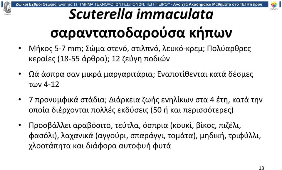 ενηλίκων στα4 έτη, κατά την οποία διέρχονται πολλές εκδύσεις (50 ή και περισσότερες) Προσβάλλει αραβόσιτο, τεύτλα, όσπρια