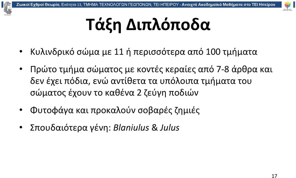 αντίθετα τα υπόλοιπα τμήματα του σώματος έχουν το καθένα 2 ζεύγη ποδιών