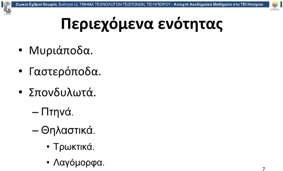 Σπονδυλωτά. Πτηνά.