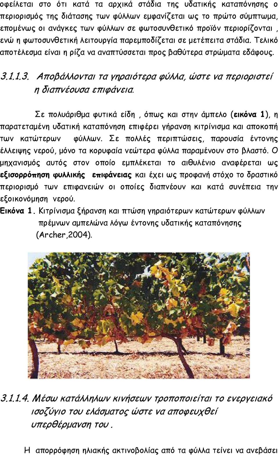 1.1.3. Αποβάλλονται τα γηραιότερα φύλλα, ώστε να περιοριστεί η διαπνέουσα επιφάνεια.