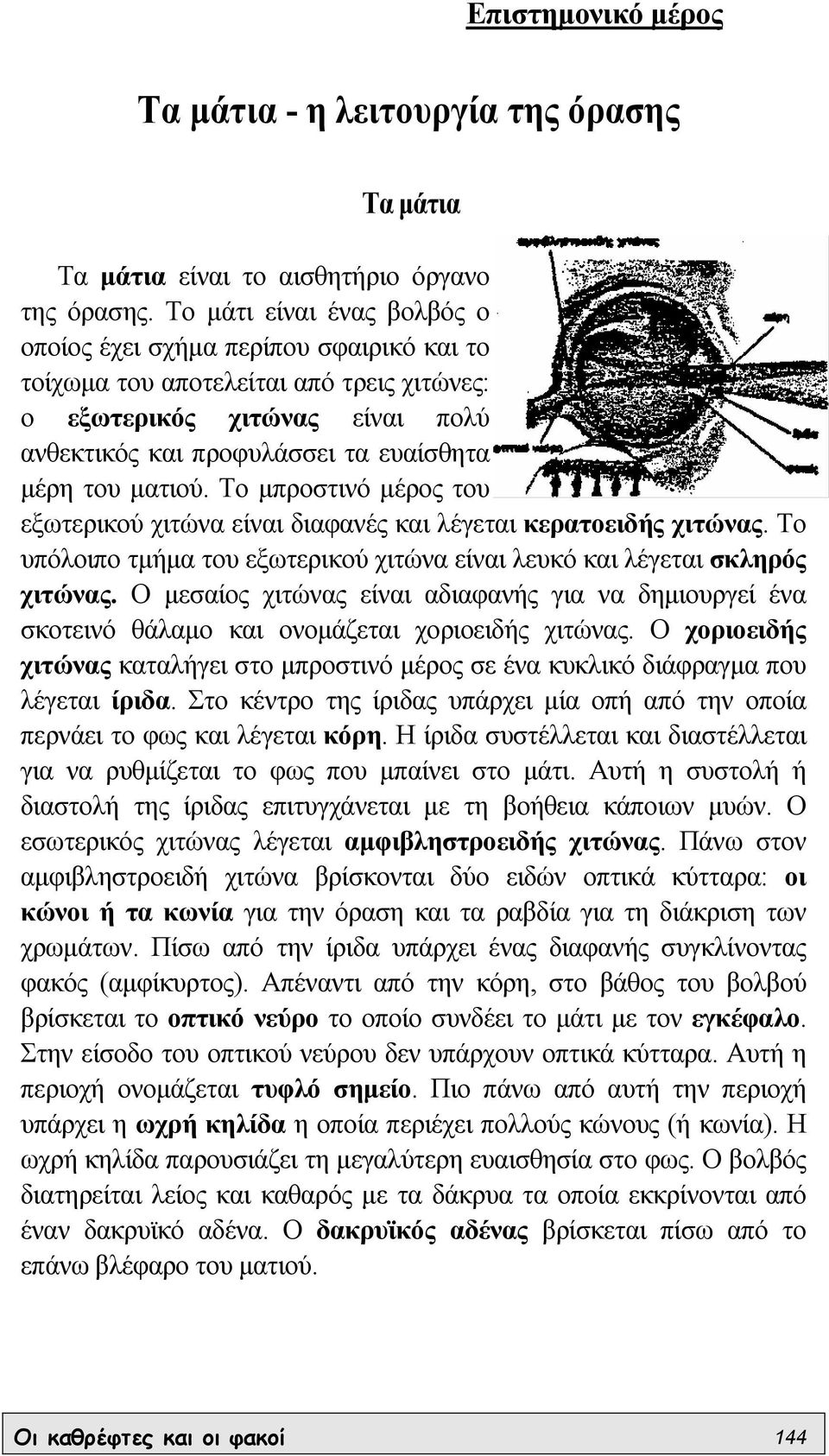 µατιού. Το µπροστινό µέρος του εξωτερικού χιτώνα είναι διαφανές και λέγεται κερατοειδής χιτώνας. Το υπόλοιπο τµήµα του εξωτερικού χιτώνα είναι λευκό και λέγεται σκληρός χιτώνας.