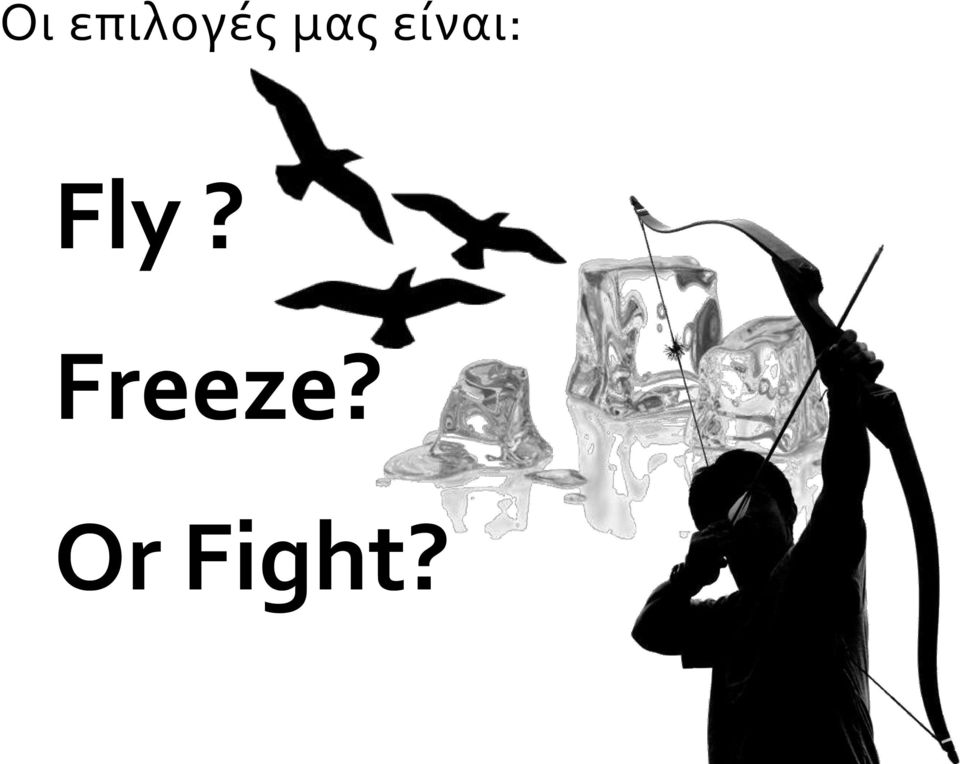 Fly? Freeze?