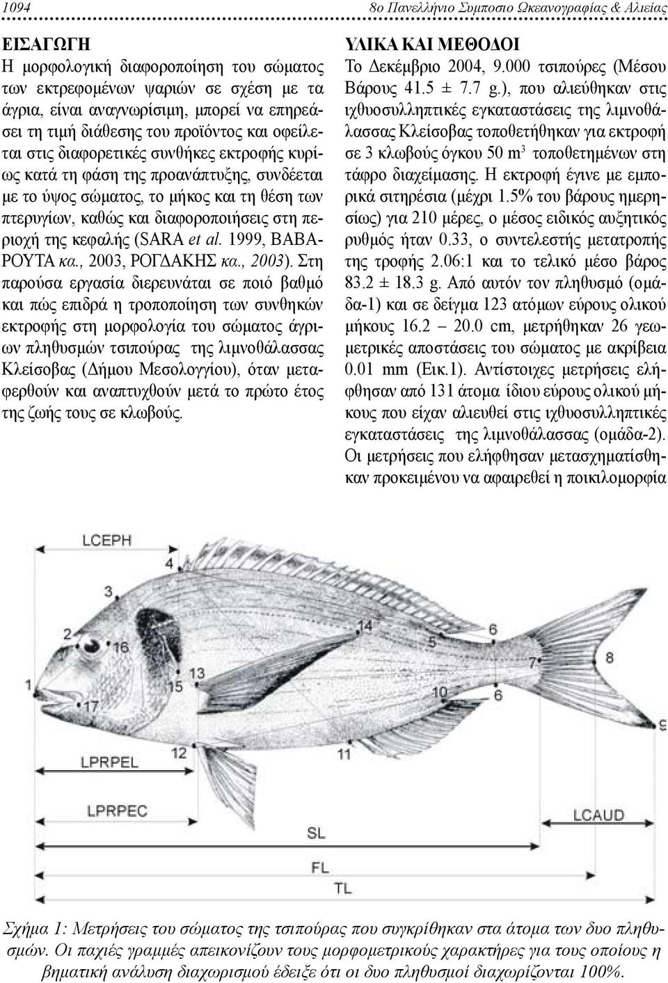 διαφοροποιήσεις στη περιοχή της κεφαλής (SARA et al. 1999, ΒΑΒΑ- ΡΟΥΤΑ κα., 2003, ΡΟΓΔΑΚΗΣ κα., 2003).