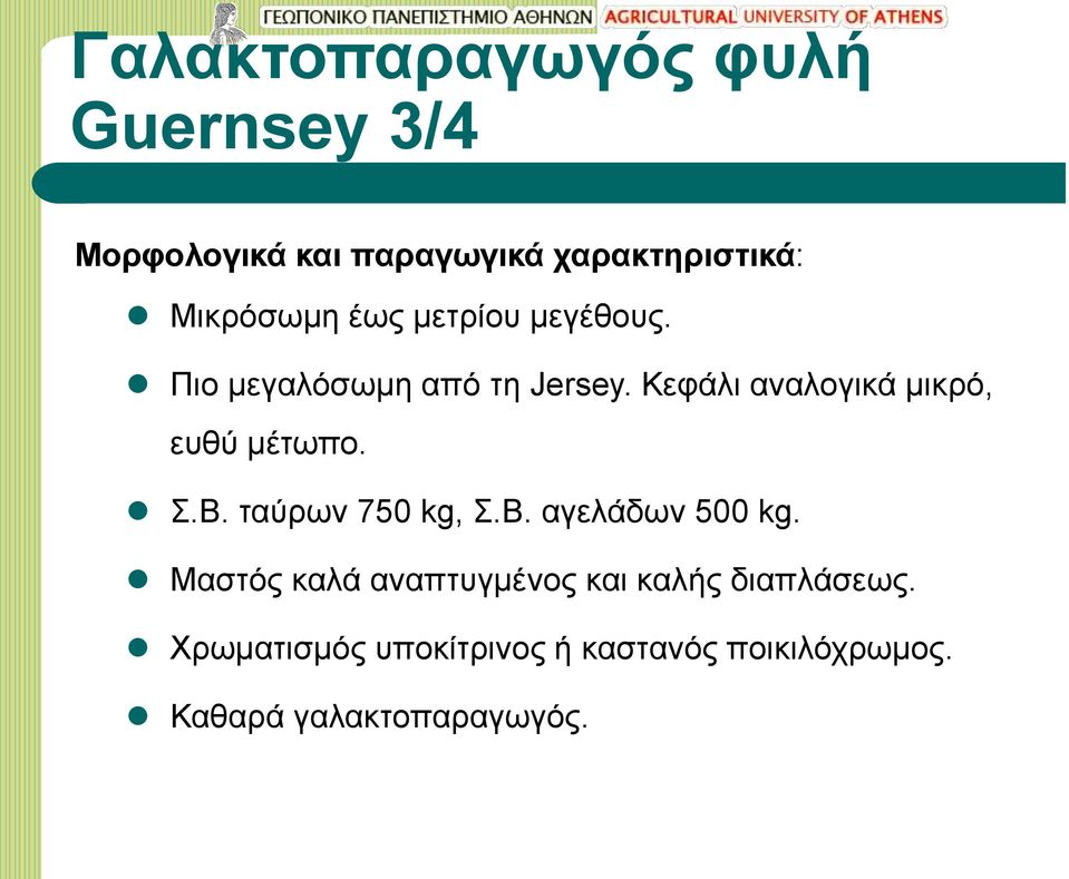 Κεφάλι αναλογικά μικρό, ευθύ μέτωπο. Σ.Β. ταύρων 750 kg, Σ.Β. αγελάδων 500 kg.