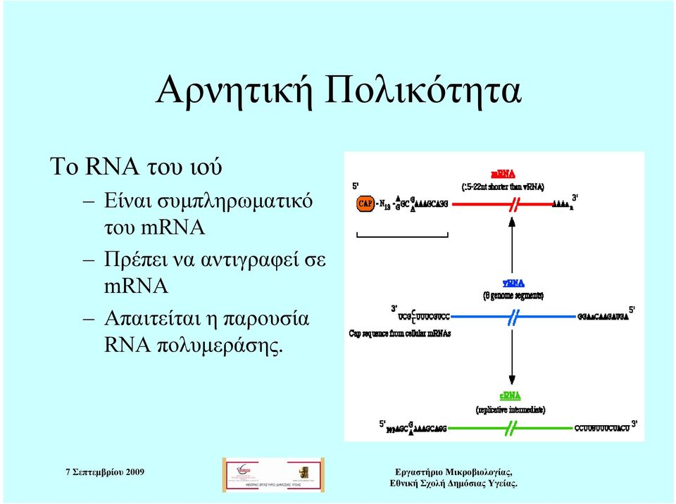 mrna Πρέπει να αντιγραφεί σε