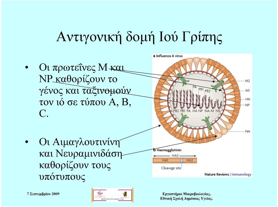 τον ιό σε τύπου A, B, C.