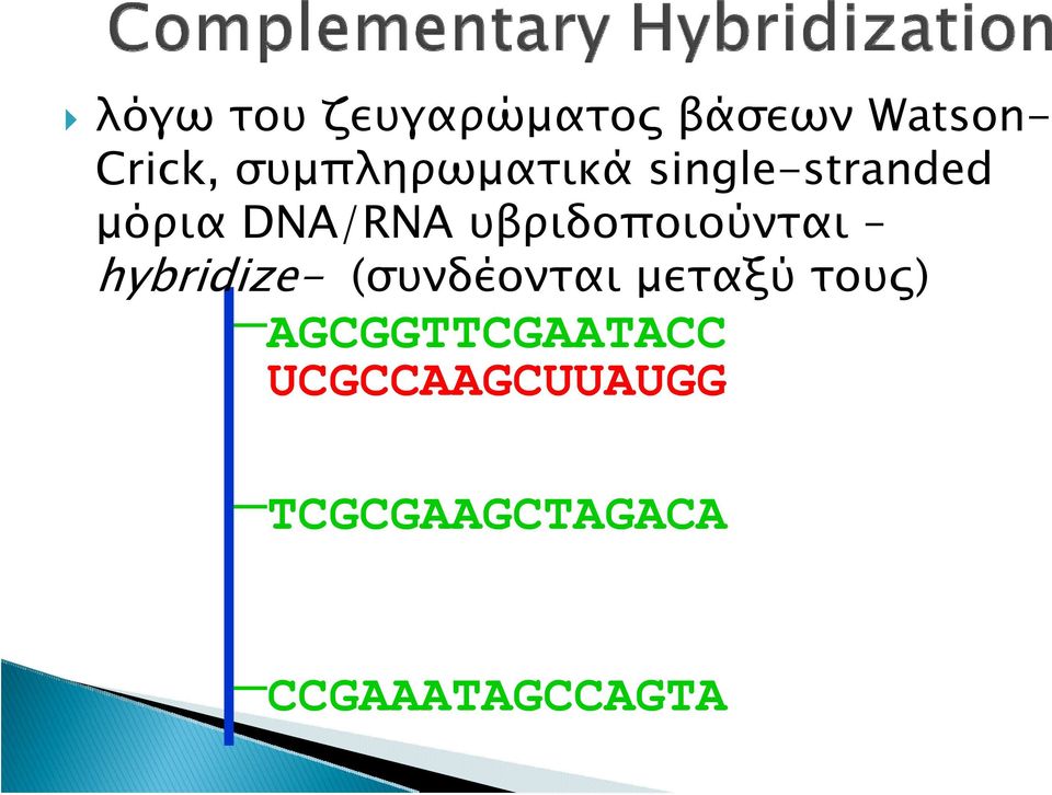 υβριδοποιούνται hybridize- (συνδέονται μεταξύ