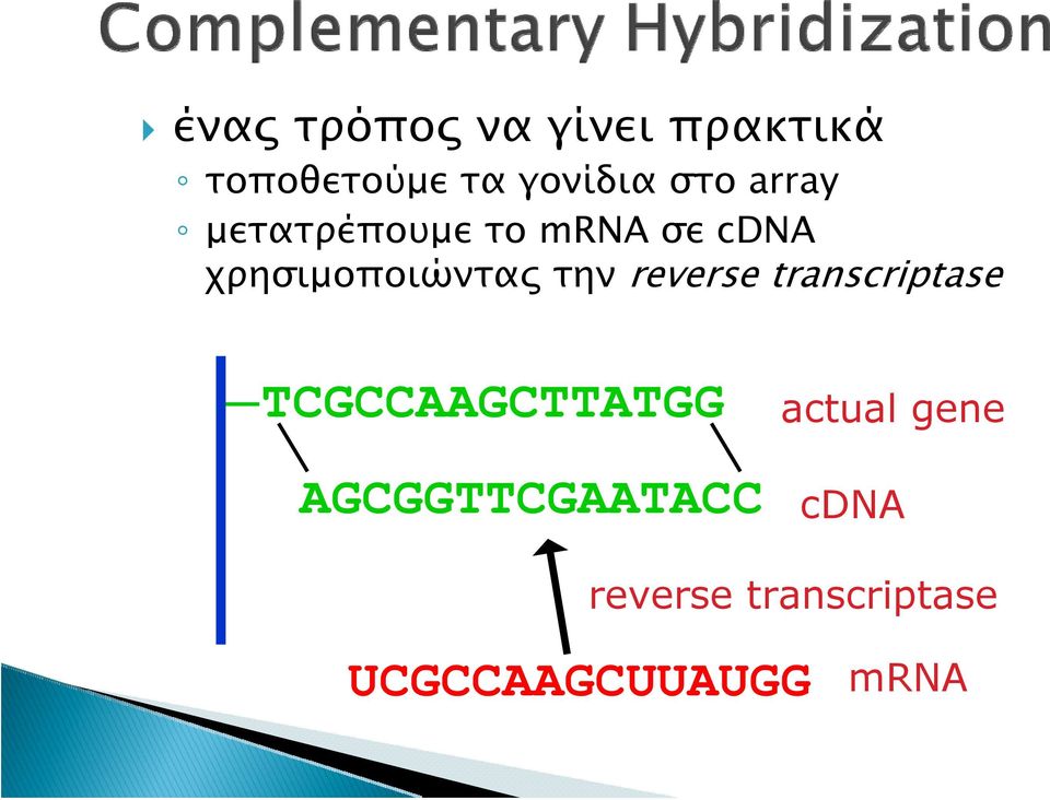 reverse transcriptase TCGCCAAGCTTATGG AGCGGTTCGAATACC