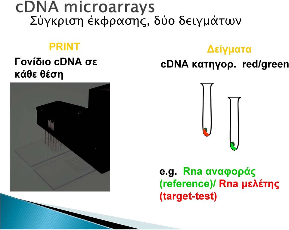 cdna κατηγορ. red/gr