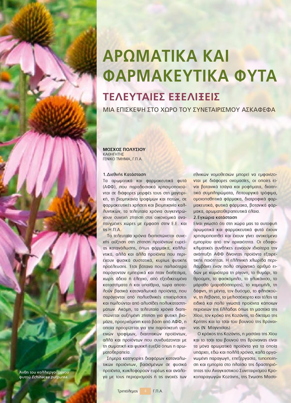 βιομηχανία καλλυντικών, τα τελευταία χρόνια συγκεντρώνουν συνεχή ζήτηση στις οικονομικά αναπτυγμένες χώρες με έμφαση στην Ε.Ε. και τις Η.Π.Α.