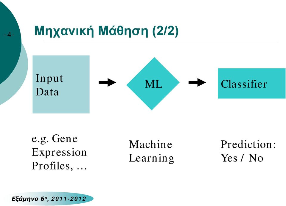 Gene Expression Profiles,