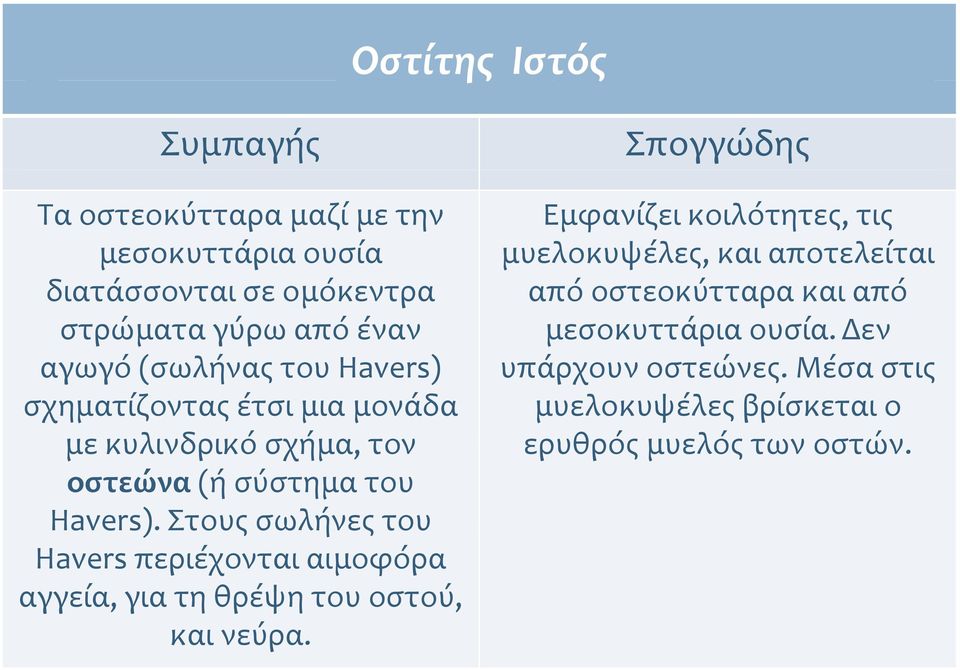 Στους σωλήνες του Havers περιέχονται αιμοφόρα αγγεία, για τη θρέψη του οστού, και νεύρα.