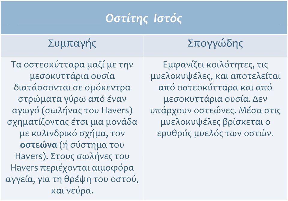 Στους σωλήνες του Havers περιέχονται αιμοφόρα αγγεία, για τη θρέψη του οστού, και νεύρα.