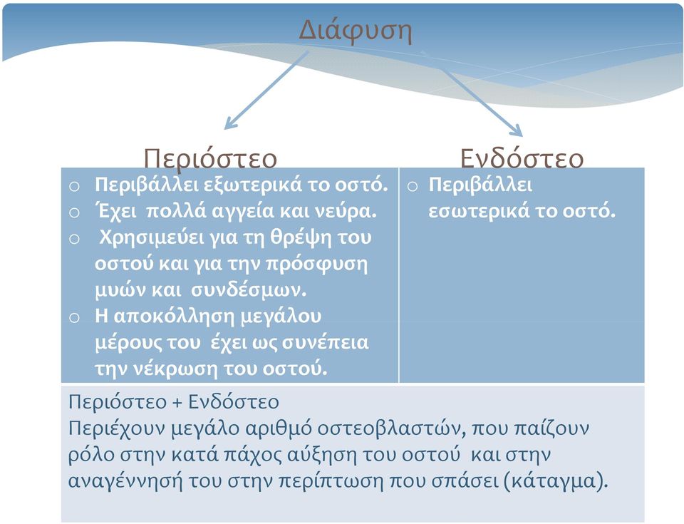 o Η αποκόλληση μεγάλου μέρους του έχει ως συνέπεια την νέκρωση του οστού. o Περιβάλλει εσωτερικά το οστό.