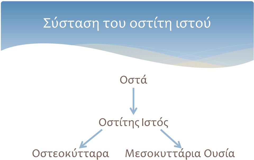 Ιστός Οστεοκύτταρα