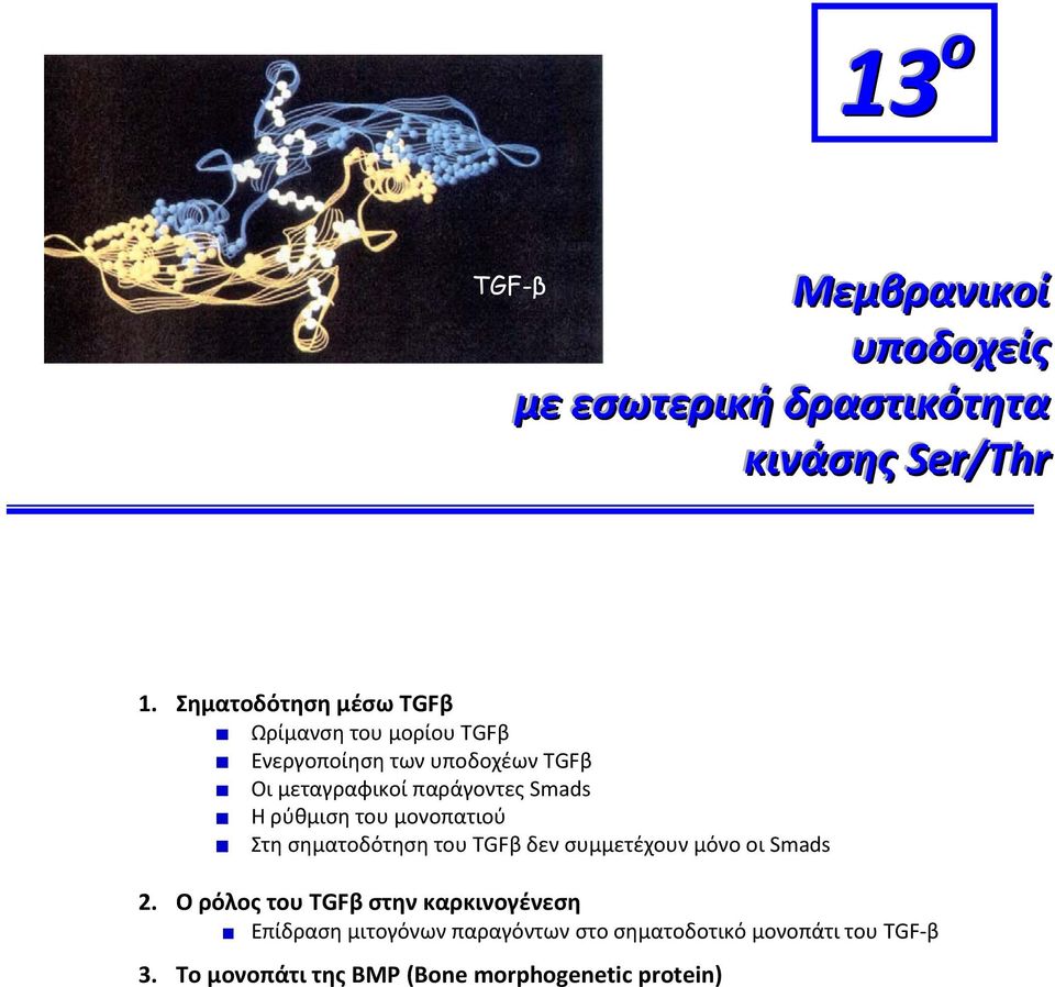 Smads Η ρύθμιση του μονοπατιού Στη σηματοδότηση του TGFβ δεν συμμετέχουν μόνο οι Smads 2.