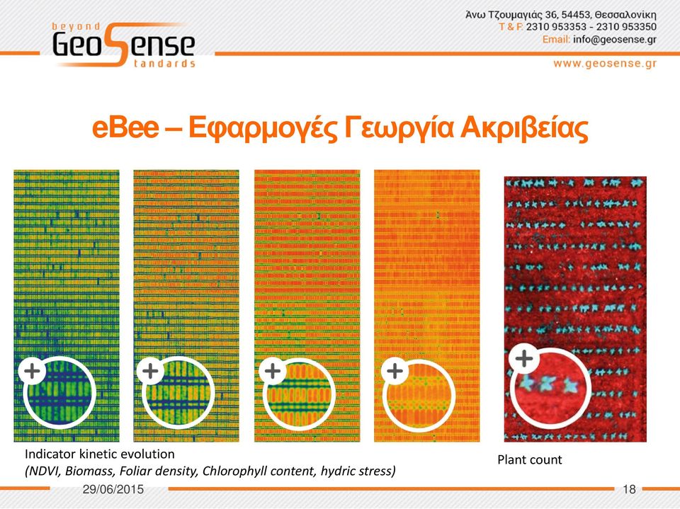 Biomass, Foliar density, Chlorophyll
