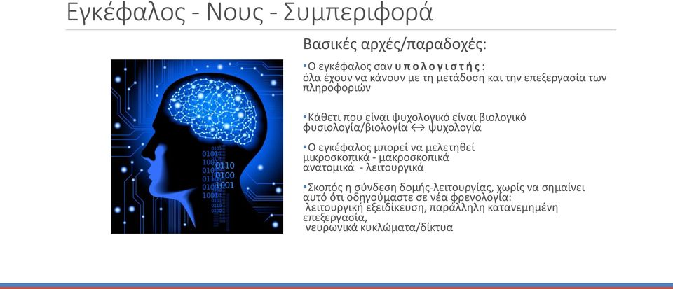 εγκέφαλος μπορεί να μελετηθεί μικροσκοπικά - μακροσκοπικά ανατομικά - λειτουργικά Σκοπός η σύνδεση δομής-λειτουργίας, χωρίς να