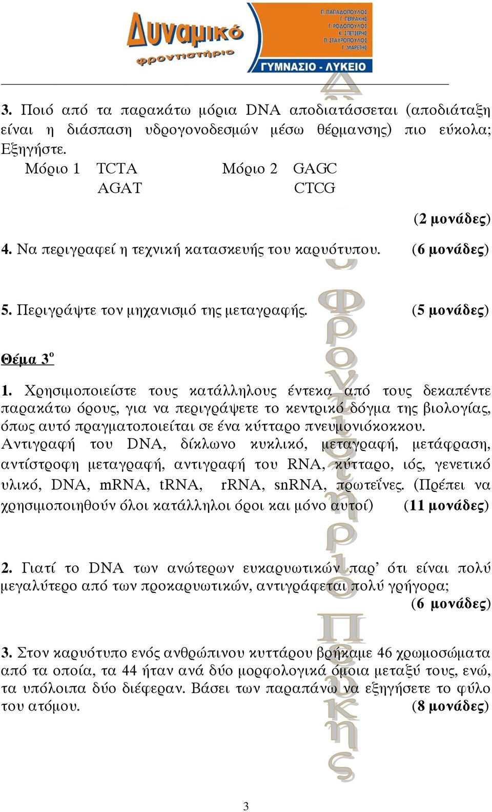 Χρησιμοποιείστε τους κατάλληλους έντεκα από τους δεκαπέντε παρακάτω όρους, για να περιγράψετε το κεντρικό δόγμα της βιολογίας, όπως αυτό πραγματοποιείται σε ένα κύτταρο πνευμονιόκοκκου.