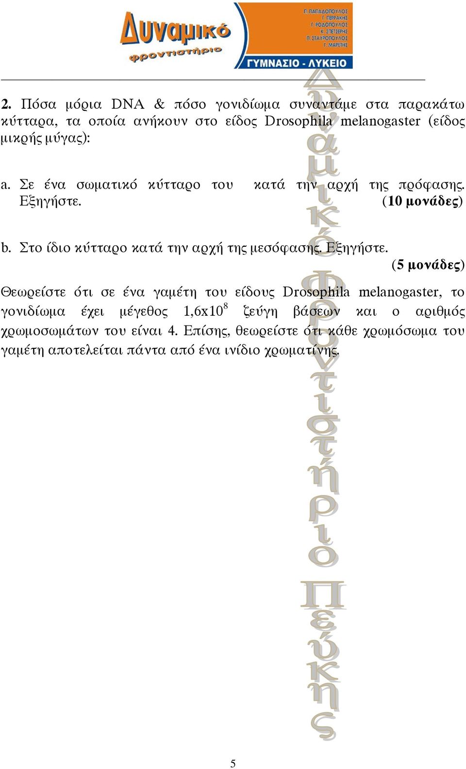 Στο ίδιο κύτταρο κατά την αρχή της μεσόφασης. Εξηγήστε.