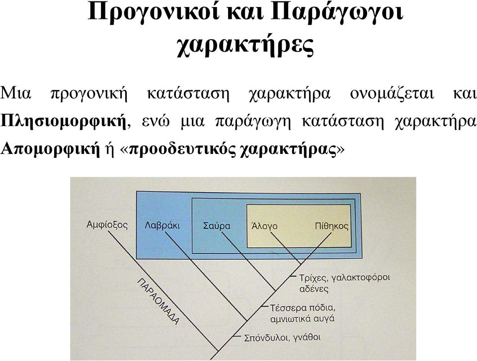 και Πλησιομορφική, ενώ μια παράγωγη