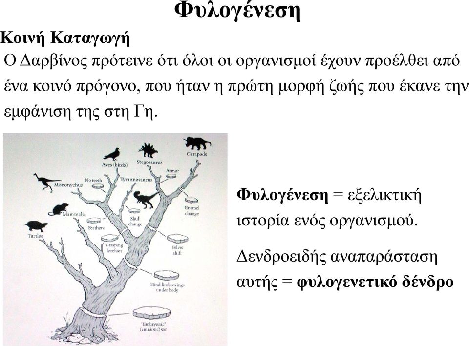 έκανε την εμφάνιση της στη Γη.