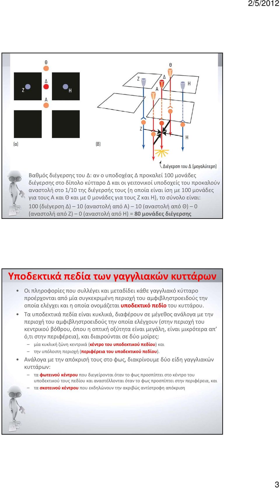 Υποδεκτικά πεδία των γαγγλιακών κυττάρων Οι πληροφορίες που συλλέγει και μεταδίδει κάθε γαγγλιακό κύτταρο προέρχονται από μία συγκεκριμένη περιοχή του αμφιβληστροειδούς την οποία ελέγχει και η οποία