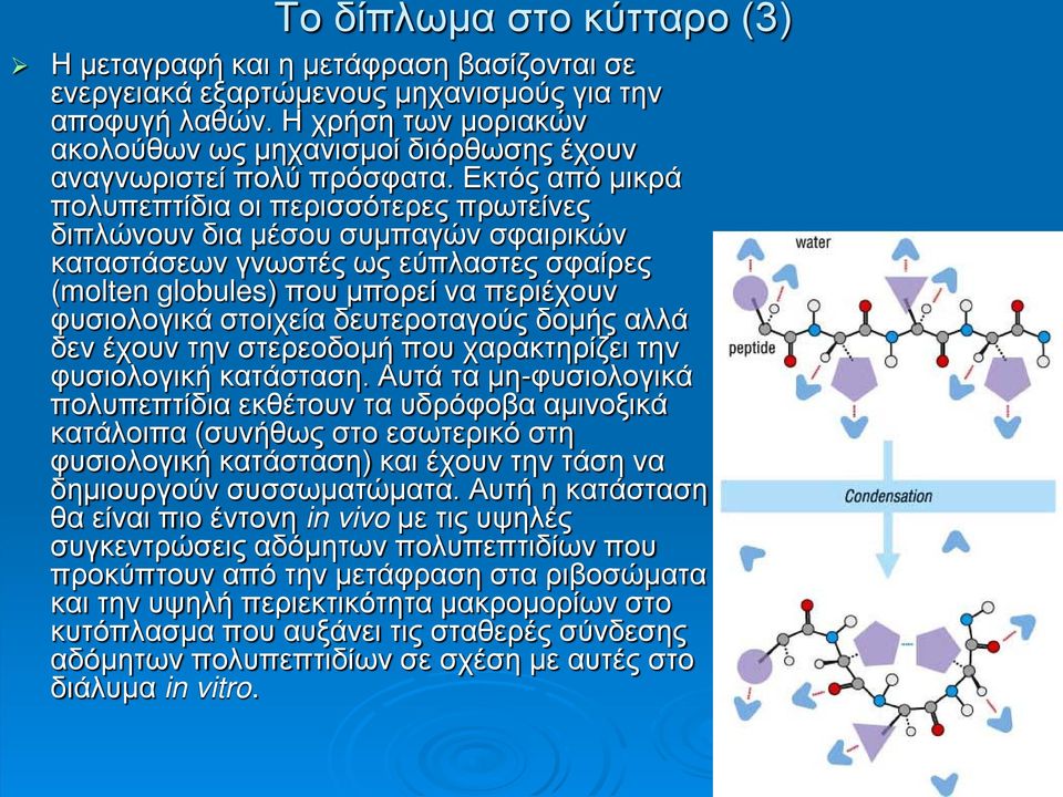 Εκτός από μικρά πολυπεπτίδια οι περισσότερες πρωτείνες διπλώνουν δια μέσου συμπαγών σφαιρικών καταστάσεων γνωστές ως εύπλαστες σφαίρες (molten globules) που μπορεί να περιέχουν φυσιολογικά στοιχεία
