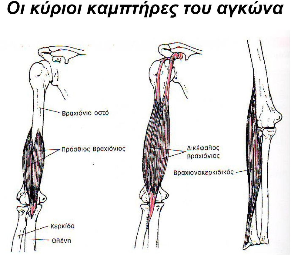 του