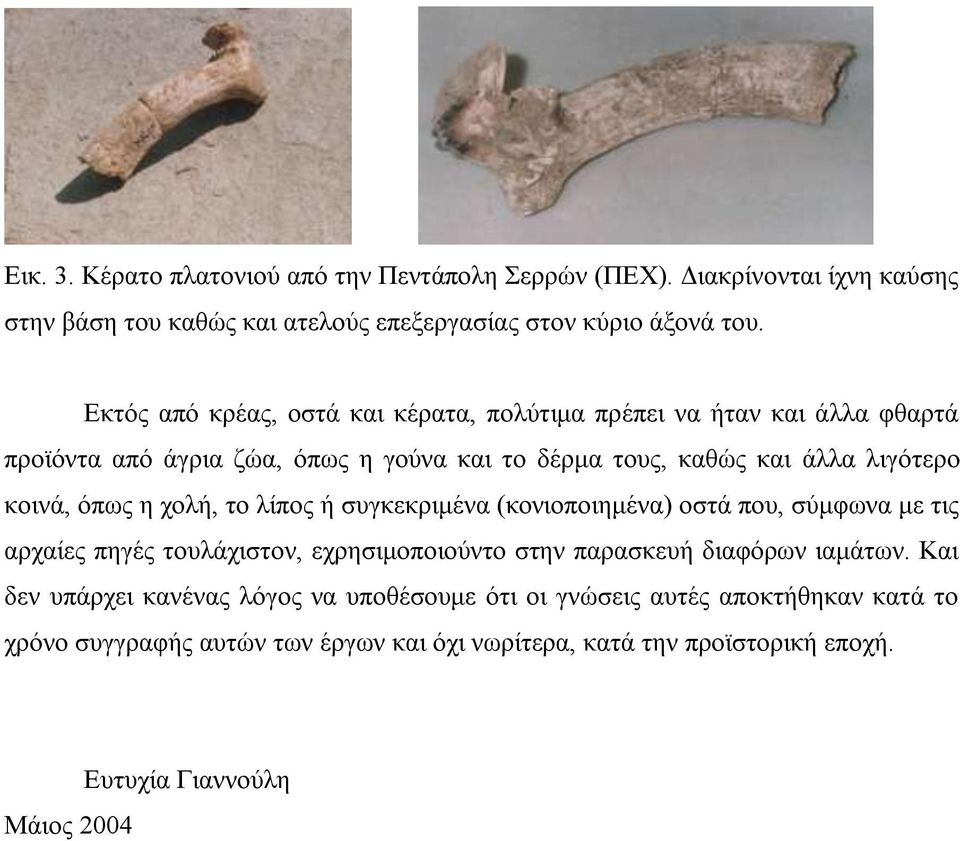 όπως η χολή, το λίπος ή συγκεκριμένα (κονιοποιημένα) οστά που, σύμφωνα με τις αρχαίες πηγές τουλάχιστον, εχρησιμοποιούντο στην παρασκευή διαφόρων ιαμάτων.